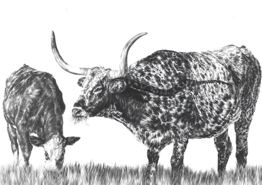 Open Range - Prints